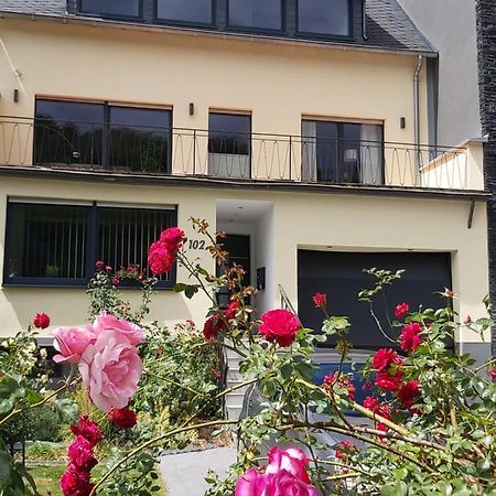 Ferienwohnung "Zum Klosterruinenblick" Kröv Zewnętrze zdjęcie