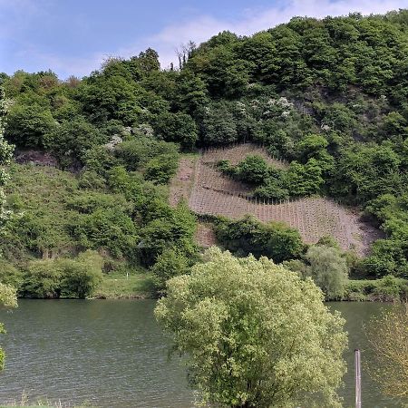 Ferienwohnung "Zum Klosterruinenblick" Kröv Zewnętrze zdjęcie