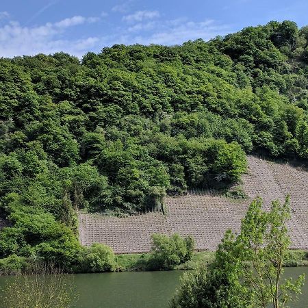 Ferienwohnung "Zum Klosterruinenblick" Kröv Zewnętrze zdjęcie