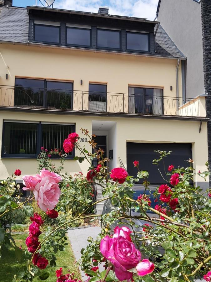 Ferienwohnung "Zum Klosterruinenblick" Kröv Zewnętrze zdjęcie